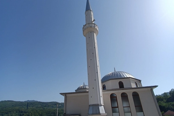 Bukovci